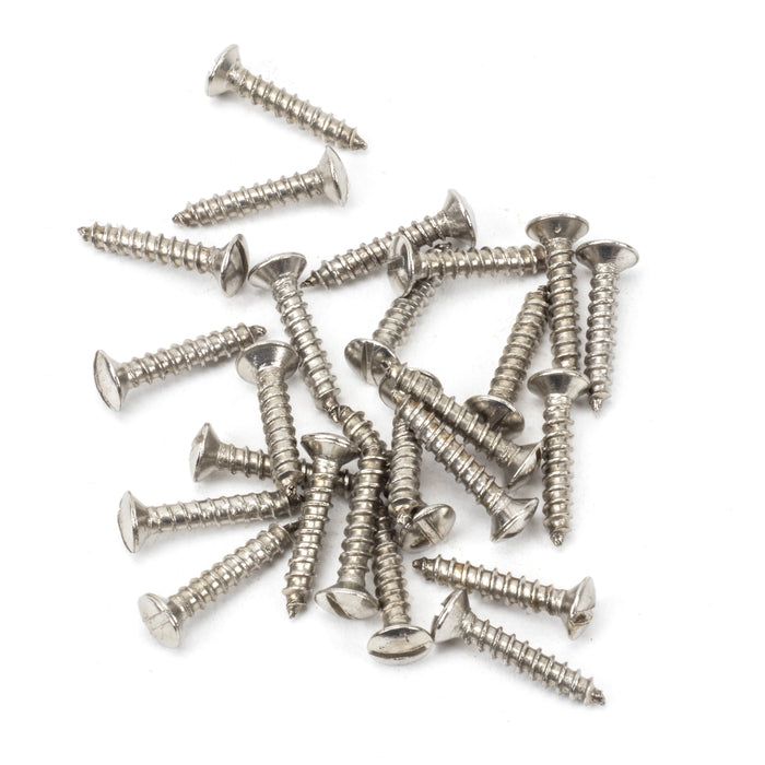 Stainless Steel 6x_" Countersunk Raised Head Screws (25)