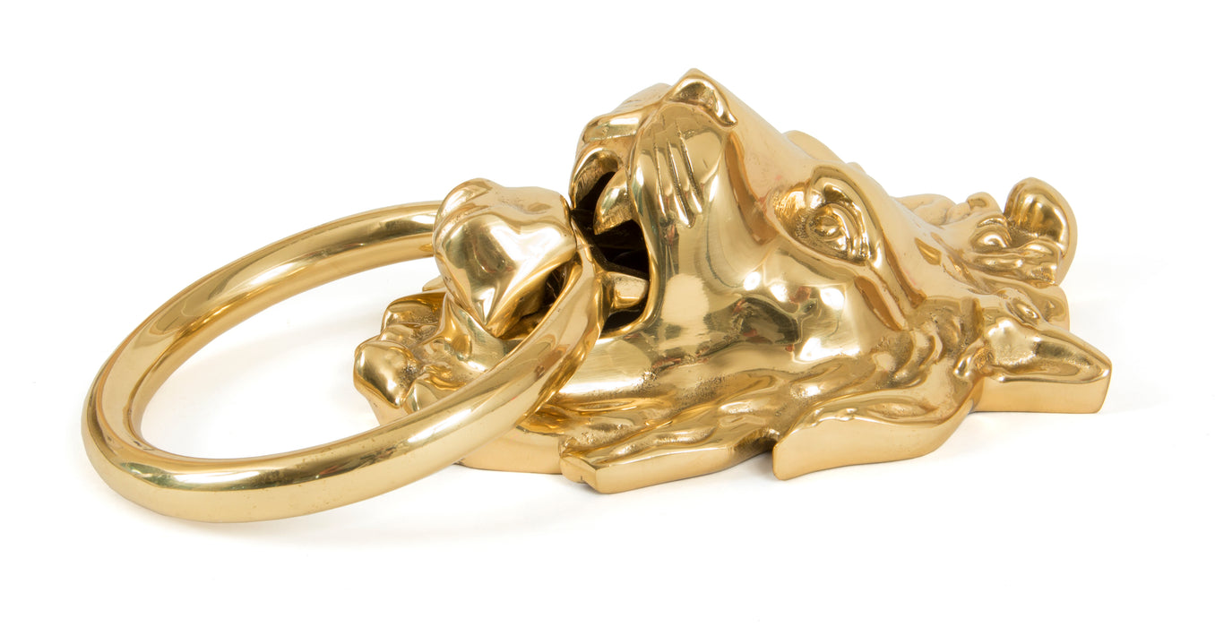 Polished Brass Lion Head Door Knocker