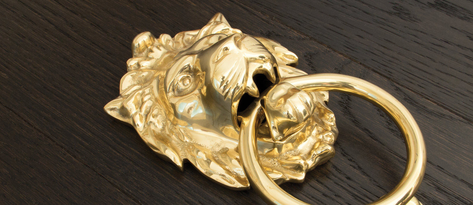 Polished Brass Lion Head Door Knocker