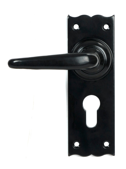 Black Oak Lever Euro Lock Set