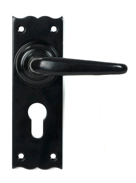 Black Oak Lever Euro Lock Set