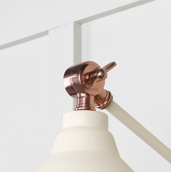 Smooth Copper Brindley Wall Light in Teasel