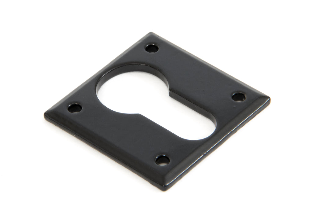 Black Avon Euro Escutcheon