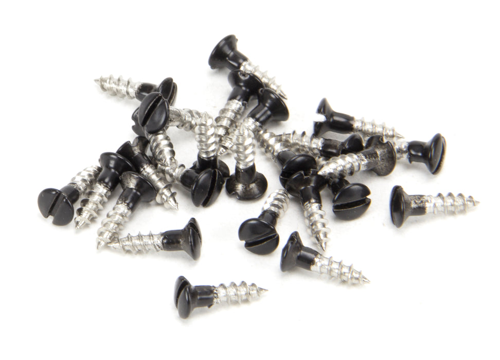 Black SS 3.0 x 12 Csk R/Head Screws (25)