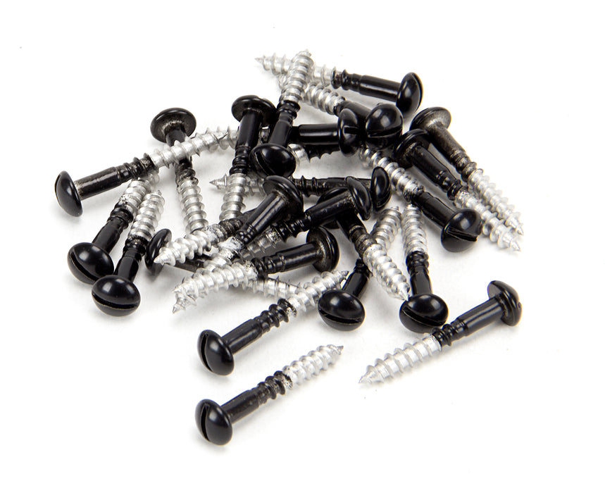 Black SS 3.5 x 25  Roundhead Screws (25)