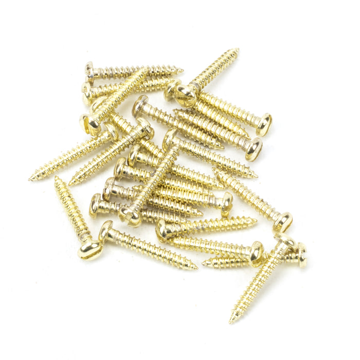 Polished Brass SS 4x_" Round Head Screws (25)