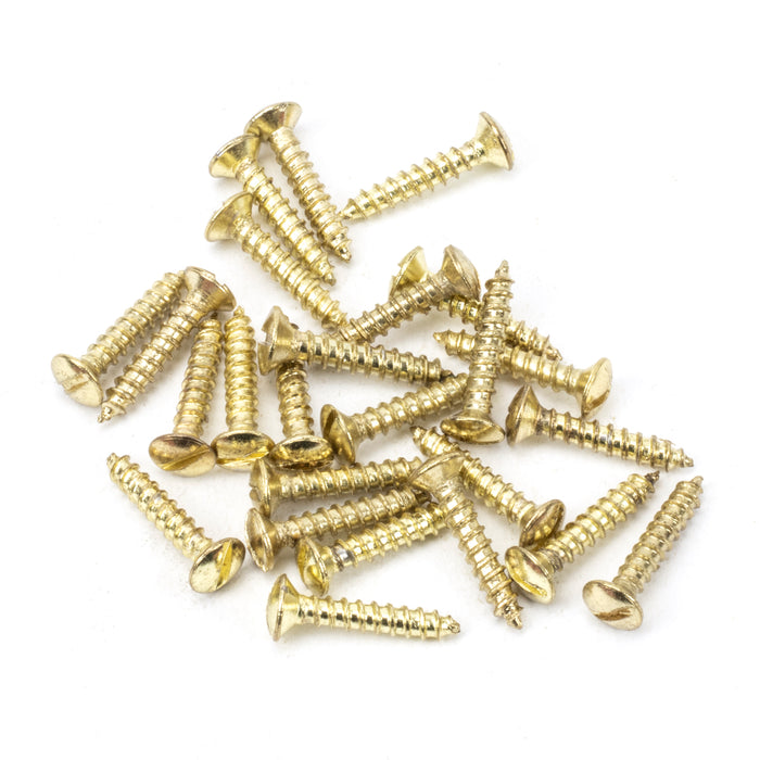 Polished Brass SS 4x_" Countersunk Raised Head Screws (25)