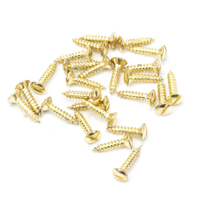 Polished Brass SS 8x_" Countersunk Raised Head Screws (25)